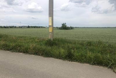 Teren Construcții intravilan de 600 mp, în 1 Decembrie - 14