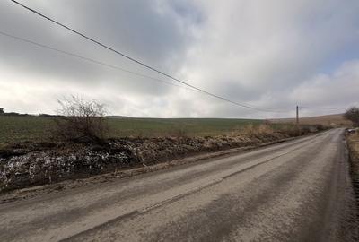 Teren de 30000 mp, în Exterior Vest - 5