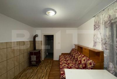 Casa cu 4 camere In Criscior - 14