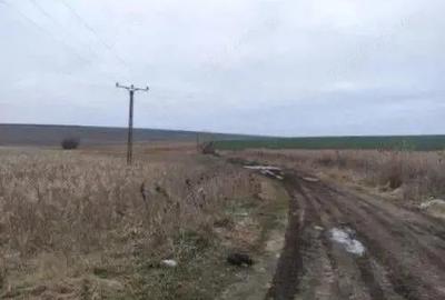 Teren extravilan cota parte 1/3, Rediu, ID: R2642185 - 1