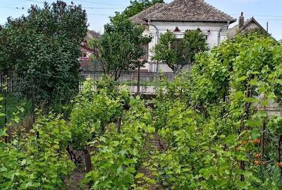 Casă cu 4 camere în Boureni - 4
