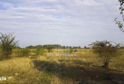 Teren de 500 mp, în Ciorogârla - 3