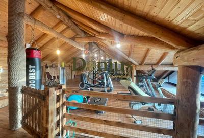 Casa de Busteni Buncar Piscina Independenta Complet - 12