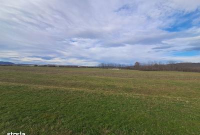 Spațiu comercial, în Central - 13