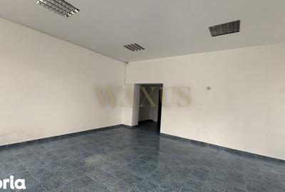 Spațiu comercial, de 87 mp, în Independenței - 4