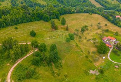 Teren Parcul National Bucegi/Str Glajarie Rau Mare/Panice... - 7