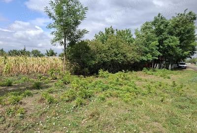 Teren de 2500 mp, în Șimand - 6