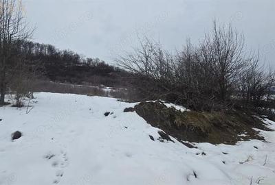 Teren de 3946 mp, în Jelna - 2