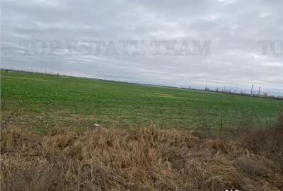 Teren de 60600 mp, în Berceni - 5