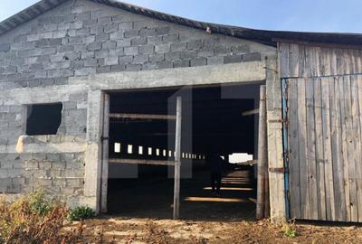 Ferma de vanzare in jud. Covasna, suprafata teren 4824 mp Ferma de vanzare in jud. Covasna, suprafata teren 4824 mp - 2