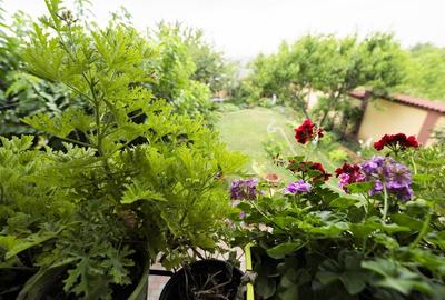 Casa duplex multifunctionala -Hanul Doctorului -langa Școala Romano Britanica - 9