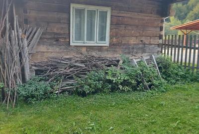 Casă cu 2 camere cu Teren 80 Mp în Poienile de sub Munte - 1