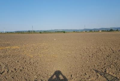 Teren intravilan, 2290mp, deschidere 21ml, in Serbanesti - 1