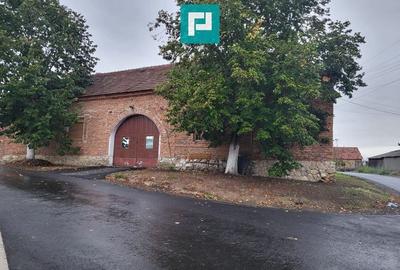 Rezidență de vis pe Valea Mureșului la Lalașinț - 2