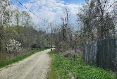 Casă cu Teren 1255 Mp în Săcelu - 7