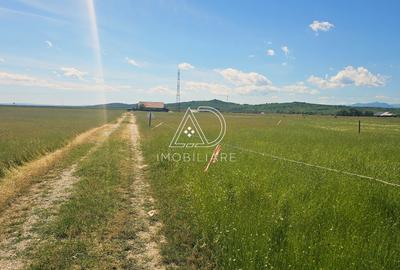 Teren agricol extravilan de 300 mp, în 9 Mai - 2