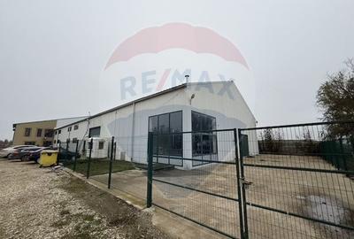 Proprietate agro-industriala premium - 43 ha langa Bucuresti (Adunatii - 3