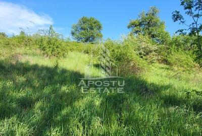 Teren de 2880 mp, în Cuied - 1