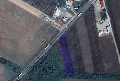 Teren de 2868 mp, în Tileagd - 1