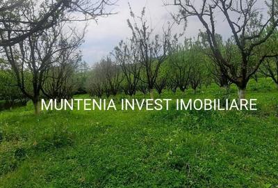 Casă cu 4 camere în Băjești - 18