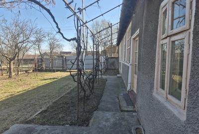 Casă cu 3 camere cu Teren 2880 Mp în Adea - 1