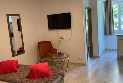 Garsonieră nedecomandată în Măgurele - 5