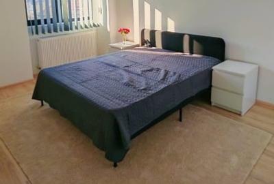 Apartament de 3 camere, 90mp, pet-friendly, centrala, metrou, Decebal - 4