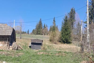 Vand casa ?i teren 3892m - 5