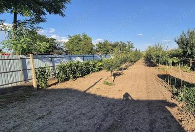 Casă cu Teren 700 Mp în Roșioru - 4