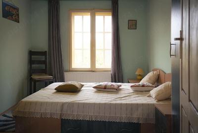Casă cu 3 camere cu Teren 2500 Mp în Drajna - 8