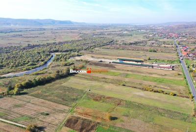 TEREN INTRAVILAN EXTRAVILAN | AUSEU - 3