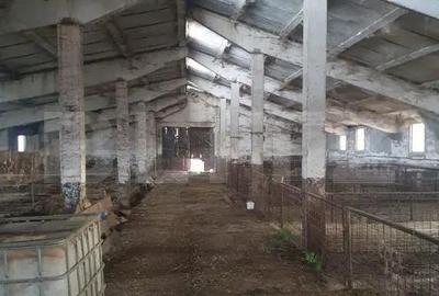 Spațiu comercial, în Central - 2