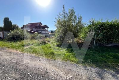 Teren intravilan 1.000 mp de vanzare Talmaciu - 2