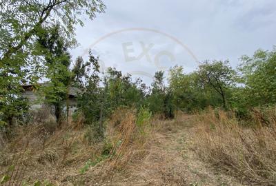 Teren 3000mp intravilan in Mavrodolu, AG - 2