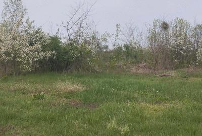 Casă cu Teren 65 Mp în Căuașd