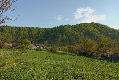 Spațiu comercial, în Valea - 2