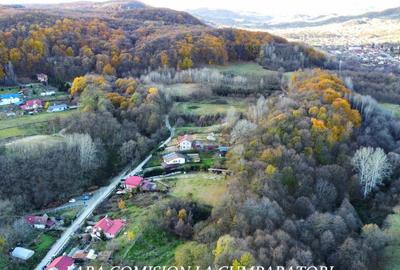 PADURE LANGA ORAS, ACCES BUN, IDEALA PENTRU ACTIVITATI DE AGREMENT - 2