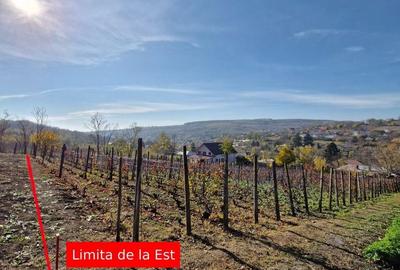 Teren de 1308 mp, în Rediu - 5