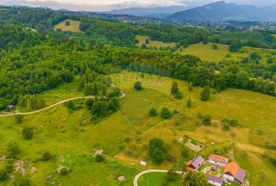 Teren Parcul National Bucegi/Str Glajarie Rau Mare/Panicel/Sohodol - 9
