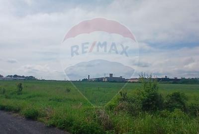 Teren Construcții intravilan de 46495 mp, în Industrială - 7