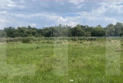 Teren intravilan 1.000 mp cu PUZ aprobat langa Sepsi A - 1