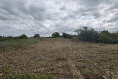 Teren Construcții intravilan de 1500 mp, în Est - 4