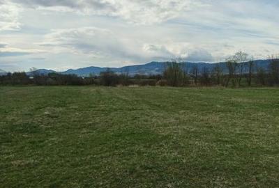 Teren de 3200 mp, în Vicovu de Sus