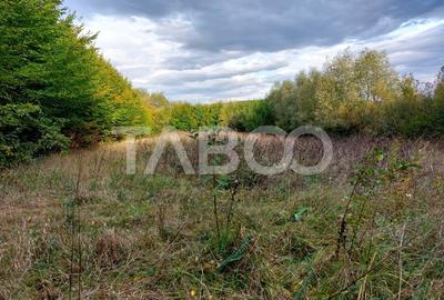 Teren intravilan de vanzare 550m front 21 m utilitati la 120m Cisnadie - 5