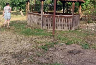 Casă cu 4 camere în Peșteana - 5