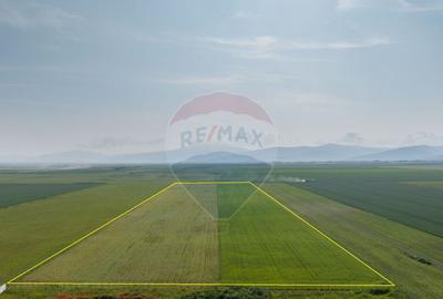 Teren 42,000mp Tarlungeni / Strada Izvor - 3