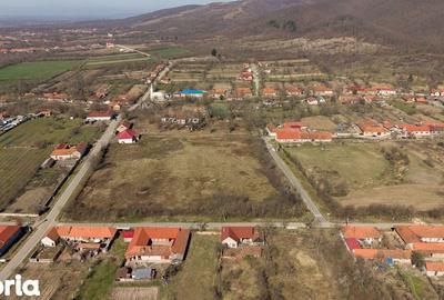 Casă cu 8 camere cu Teren 7235 Mp în Traian Vuia - 12