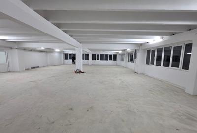 Theodor Pallady, 10 minute metrou 1 Decembrie 1918, stradal - 14