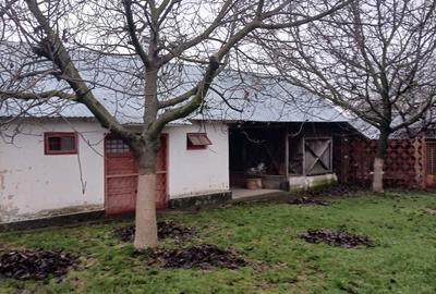 Casă cu 3 camere în Verguleasa - 5