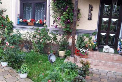 Casă cu 6 camere cu Teren 2000 Mp în Tismana - 2